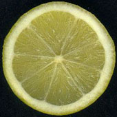 cut lime