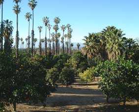 view over part of the variety collection